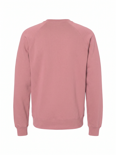 A dusty rose pink crewneck sweatshirt shown from the back, featuring raglan sleeves and ribbed cuffs and hem, displayed on a clean white background.